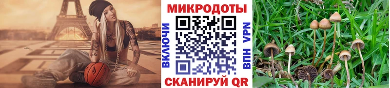 кракен зеркало  Адыгейск  Галлюциногенные грибы Psilocybine cubensis 